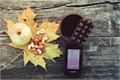 Навигатор Garmin Oregon 700  010-01672-10 010-01672-10