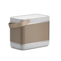 Портативная акустика Bang & Olufsen BeoLit 20 Grey Mist 2756