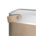 Портативная акустика Bang & Olufsen BeoLit 20 Grey Mist 2756