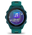 Часы для бега Garmin Forerunner 170 Music Teal Green with Teal Green/Citron Band 010-03920-12