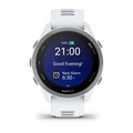 Часы для бега Garmin Forerunner 170 белый с облачно-голубым ремешком 010-03920-01 010-03920-01