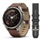 Часы Garmin Fenix 9 Pro - 47mm, inReach, Titanium with Walnut Leather Band 010-04336-41
