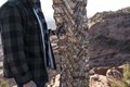Надувной коврик KLYMIT Insulated STATIC V REALTREE™ EDGE CAMO (06IVED02C) камуфляж 06IVED02C
