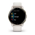 Умные часы Garmin Venu 2 Plus цвета слоновой кости с безелем цвета кремовое золото и силиконовым ремешком  010-02496-12 010-02496-12