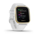 Garmin Venu Sq белый с золотистым алюминиевым безелем и с силиконовым ремешком  010-02427-11 010-02427-11