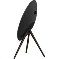Портативная колонка Bang & Olufsen Beosound A9 5th Gen Black Anthracite 2333