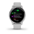 Умные часы Garmin Venu 2S серебристые  010-02429-12 2346